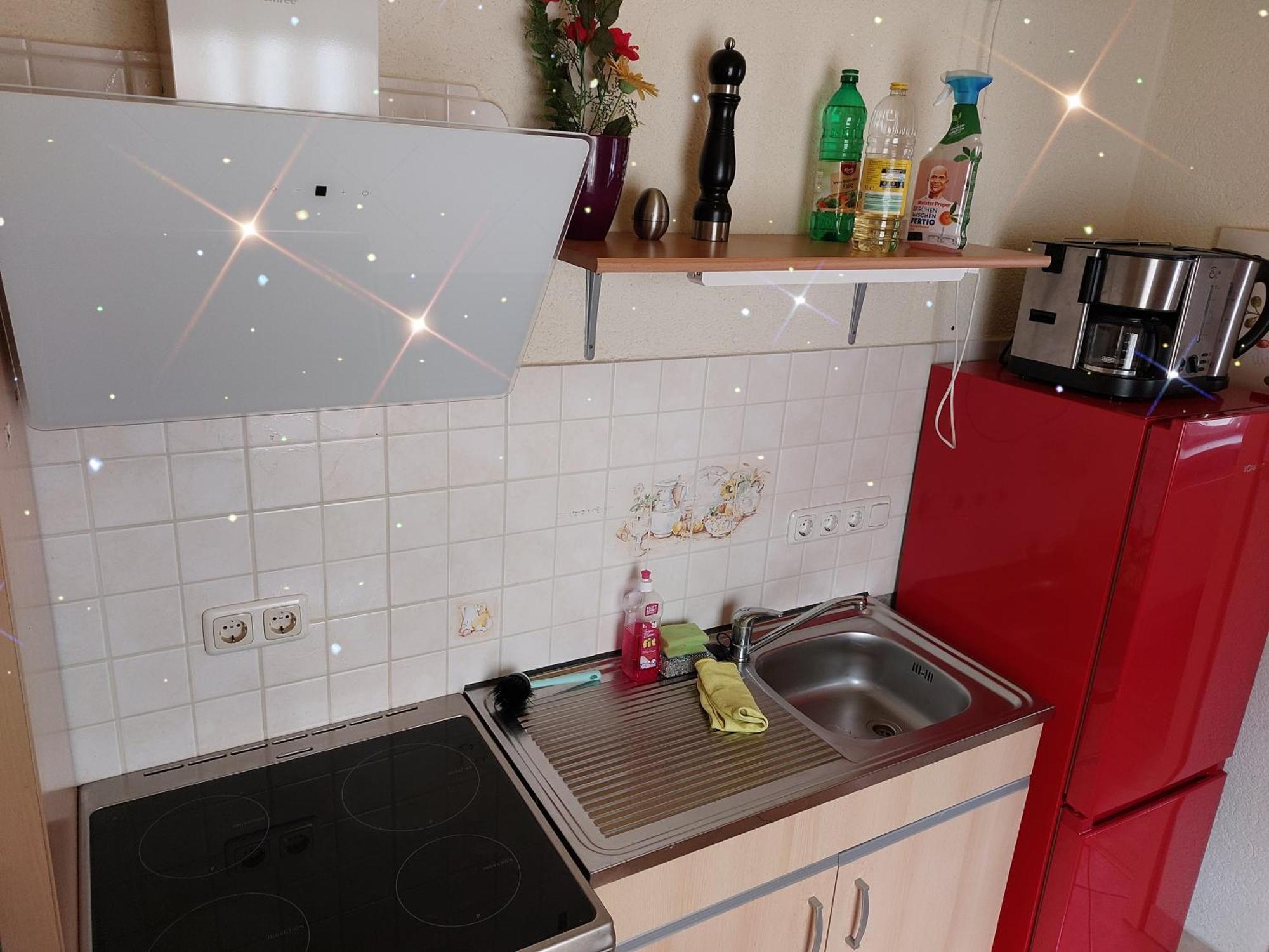 Landhauswohnung Am Thueringer Meer - Fuehlen Wie Zuhause Remptendorf Exterior foto